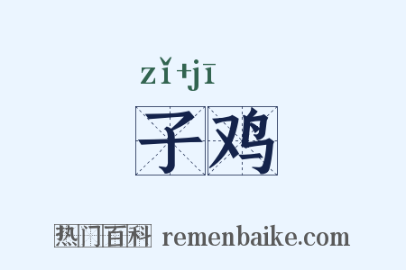 子鸡是什么意思的图片